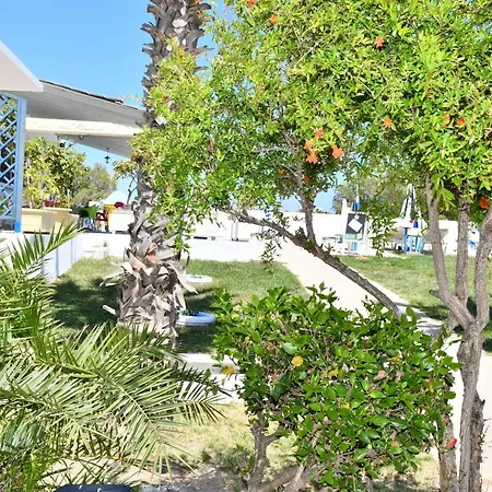 Kos Olympia Apartments At Lambi Beach Apartment